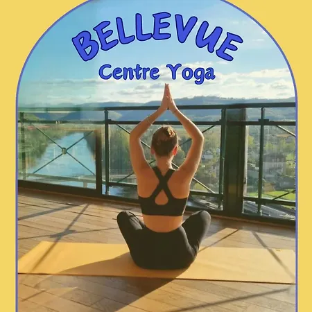 Centre Yoga Bellevue Hotel Puy-l'Eveque